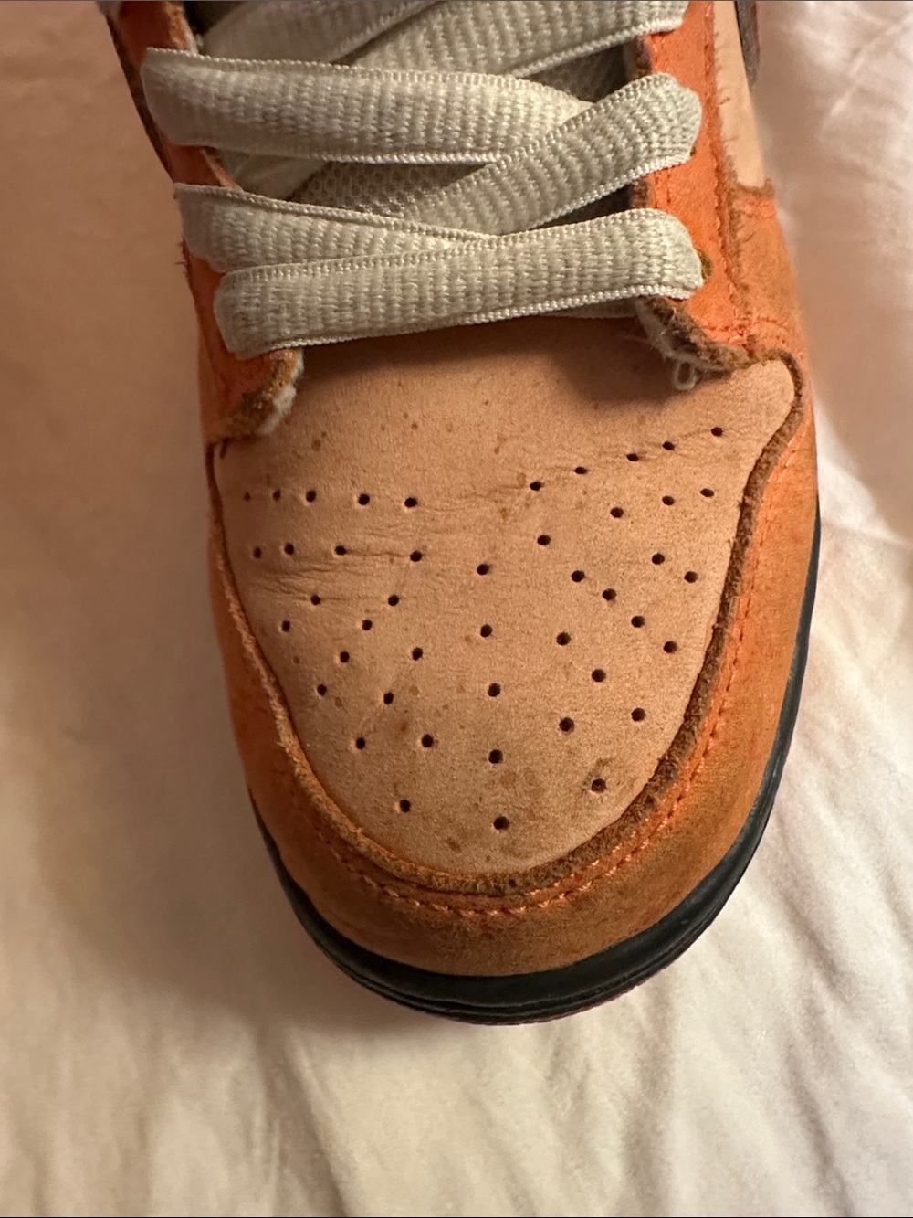 Nike SB Dunk Low Orange lobsters Low-Top Sneakers - Picture 5 of 16